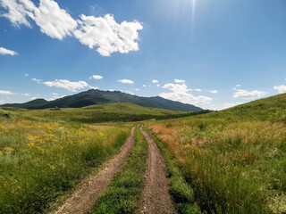 Obraz premium Borovoe landscape