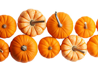 Round orange pumpkins isolated on transparent or white background
