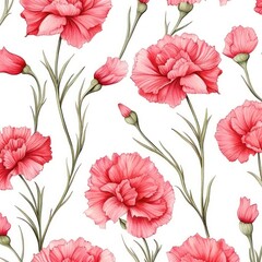 Carnations flower pattern plant inflorescence.