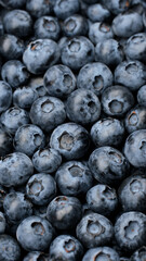 Heap of Fresh blueberries close up