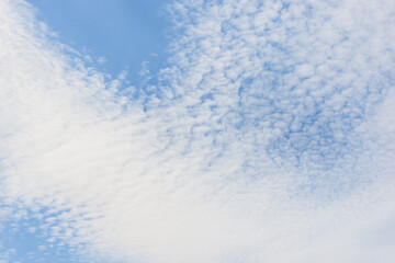 Obraz premium Blue sky and white spindrift clouds background, texture, cloudscape