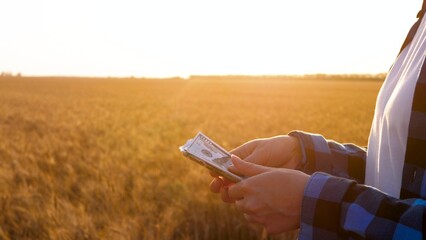 agriculture business. hands farmer counting money dollars in wheat field. farming income for the...