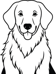Fototapeta premium Golden Retriever Dog vector style,Clipart , Illustration with white background