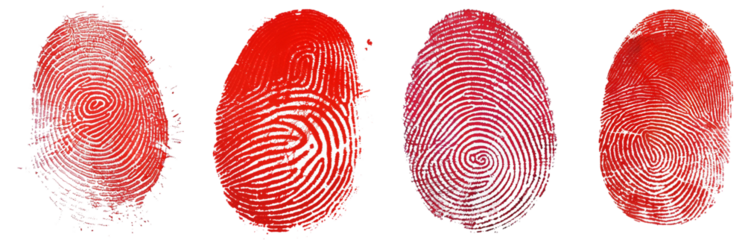 Pack of Red human fingerprint set isolated on transparent background