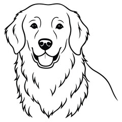 Golden Retriever  Dog  vector style,Clipart , Illustration with white background