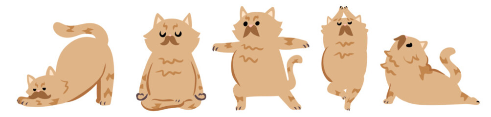 Persian Cat Yoga Pose Illustration Set