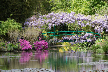France Giverny Monet's garden spring May, green bridge and beautiful flowers, wisteria, horizontal, landscape