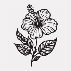 hibiscus flower line art silhouette vector on a white background