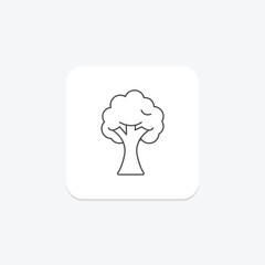 Self Wise Tree thinline icon , vector, pixel perfect, illustrator file