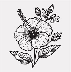 hibiscus flower line art silhouette vector on a white background