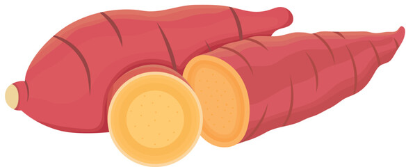 Orange Sweet Potato Vegetable with Sliced Illustration