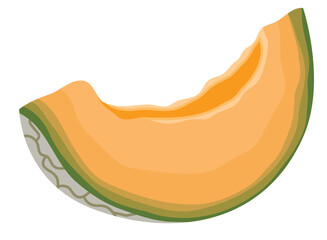Cantaloupe Melon or Honeydew Melon Sliced Illustration