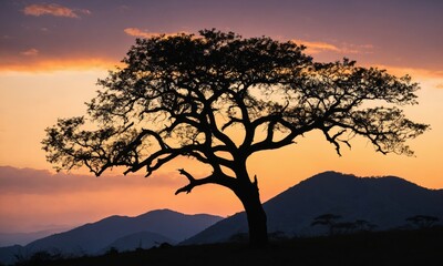 Fototapeta premium Silhouette of a tree at sunset with mountains in the background