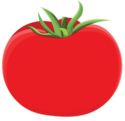 Fresh Red Tomato Vegetable Illustration