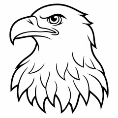Fototapeta premium eagle head vector