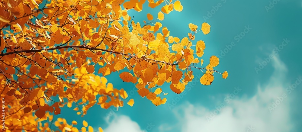 Aufkleber bright yellow autumn leaves against a blue sky create a colorful fragment suitable as a copy space i