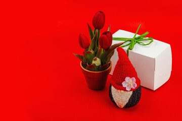 Minimalist spring greeting card with knitted gnome, tulips and gift box. Traditional festive symbol