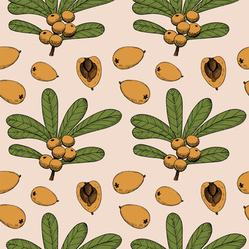 Loquat plant hand drawn seamless pattern. Repeating background of Eriobotrya japonica fruits, leaves, branch. Vector backdrop for textile, wrapping, paper, logo, label, print, paper, card