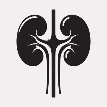 recommend clip art: kidney vector silhouette on a white background