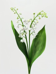 Close-up of a single flower on its stem