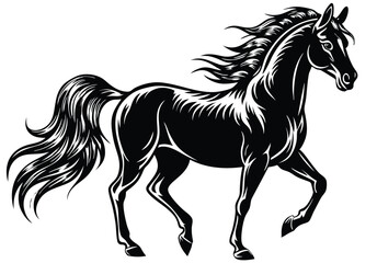 An Arabian horse scilhoutte