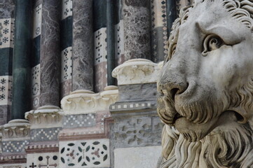 Obraz premium Leone della Cattedrale di San Lorenzo a Genova