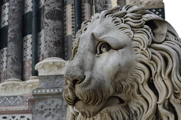 Leone della Cattedrale di San Lorenzo