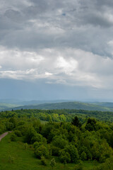 Obraz premium beautiful mountains covered with forest and alpine pine under blue sky