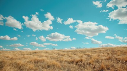 Fototapeta premium A serene scene of a grassy field under a clear blue sky with puffy white clouds