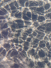 The water is calm and clear, with ripples