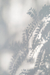 Shadows of branches with leaves on a rough concrete surface. Abstract defocused shadows on an exterior wall.