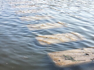 View of the surface of a pond covered in fallen leaves. Stagnant water in the park. flooding of the path in the middle of the lake