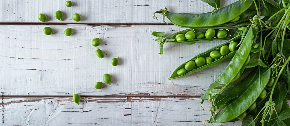Poster top down view of fresh green pea pods on a white wooden table with space for text or image insertion