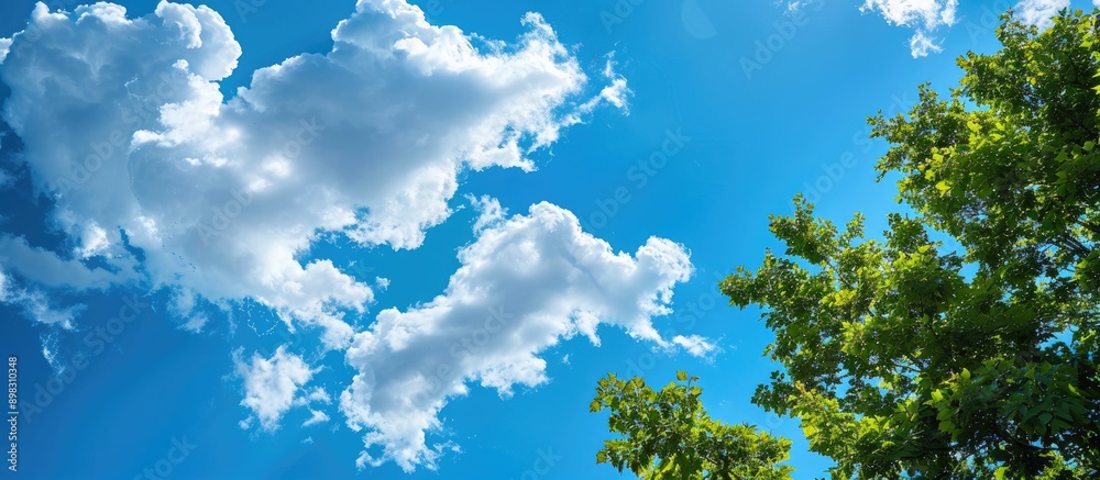 Aufkleber Blue sky with fluffy clouds providing a backdrop for a tree top with copy space image