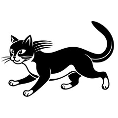  cat vector