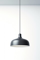 Modern minimalist black pendant light