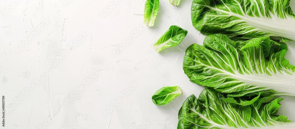 Poster Chinese cabbage on a blank white backdrop with copy space for text or design