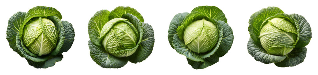 Fototapeta premium Collection set of Cabbage isolated on transparent background