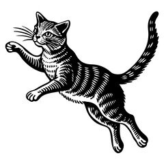cat Vector