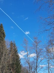 nature, trees, forest, sky, beauty,