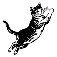 cat Vector