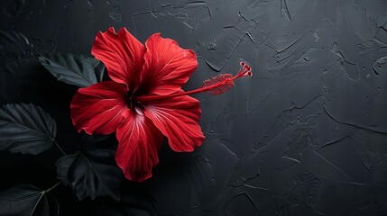  A red flower of ample size rests atop a black table Nearby, a green plant with leafy foliage graces the same black surface