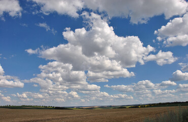 Obraz premium beautiful blue sky with lots of low flying clouds over the fields. nice summer day