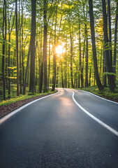 Obraz premium A highway stretching into the distance, flanked by trees