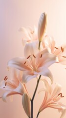 Obraz premium Lilies at the center blossom flower anther.