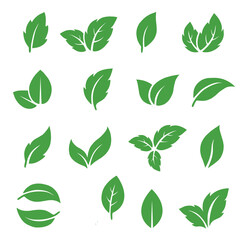 Leaves icon set isolated on white background. Various shapes of green leaves of trees and plants. Elements for eco and bio logos