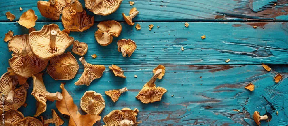 Poster autumn themed top view of dried mushrooms on a blue wooden table with ample copy space image
