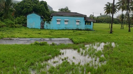 Monsoon scene in Maharashtra with blue cottage, palm trees, and water in grass.