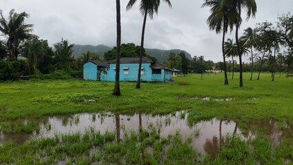 Monsoon scene in Maharashtra with blue cottage, palm trees, and water in grass.