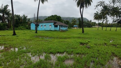 Monsoon scene in Maharashtra with blue cottage, palm trees, and water in grass.